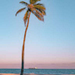 Meet your Posher, Julianna